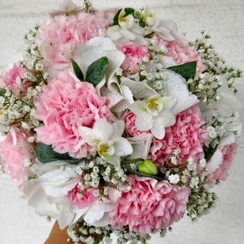 Kukka Ulvila Kukkakimput